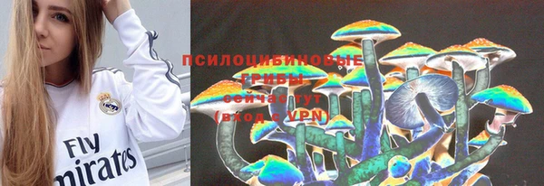 Альфа ПВП Арсеньев
