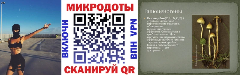 Псилоцибиновые грибы прущие грибы гидра ССЫЛКА Татарск